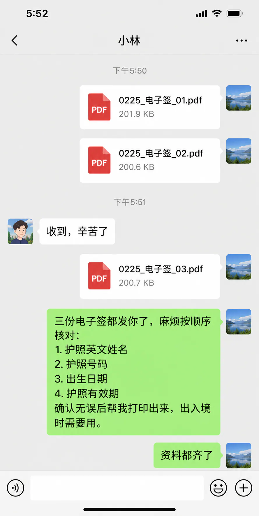 Vietnam electronic visa and expedited service instructions